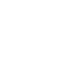 AIRIS mobile logo
