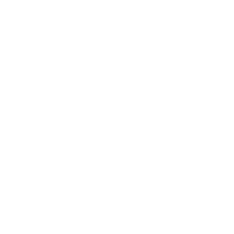 GT mobile logo