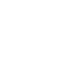 Movizelia logo